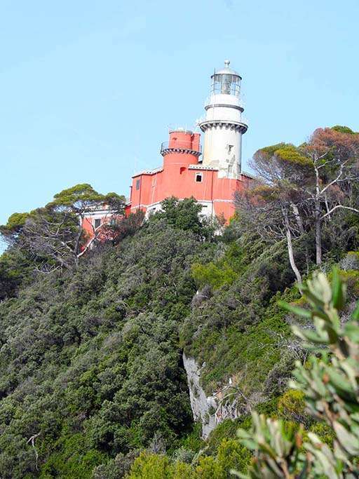 Immagine  faro isola del tino